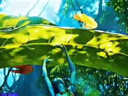 Avatar 