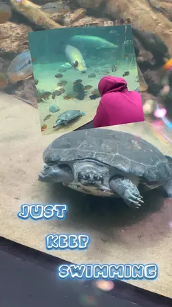 Just keep swimming 