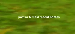 .....