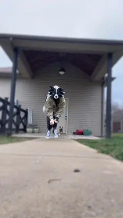 🐾