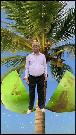 meme de vovó 