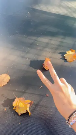 In the fall spirit 