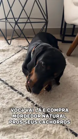 Cachorro destruidor 