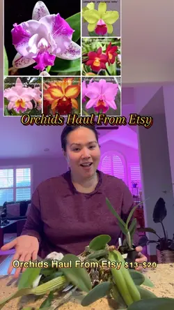Orchids Haul Etsy