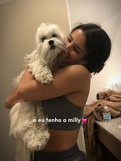 trend cachorro