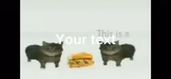 This is a