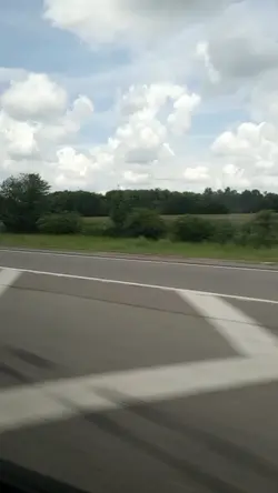 SWEET HOME ALABAMA 