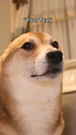 Dancing Doggo