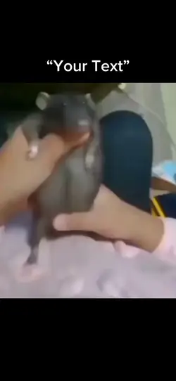 Guy has the moves 🫨