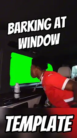 Window Barking