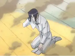 random bleach clips