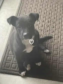 My baby