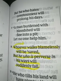 Proverbs 28:18