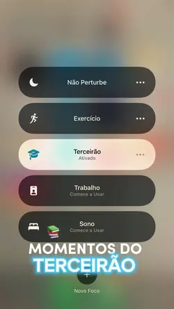 TERCEIRÃO 