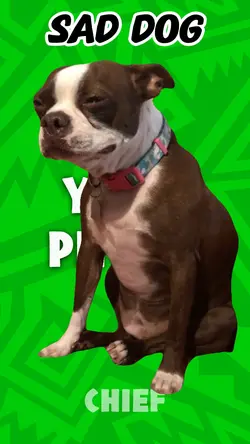 CRYING DOG