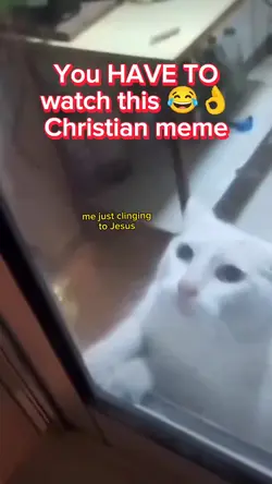 Cat afraid of mouse 