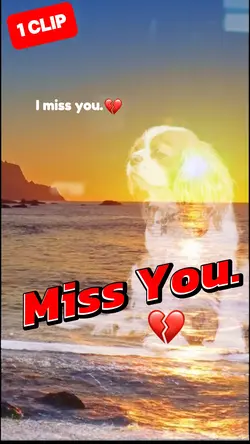 Miss You
