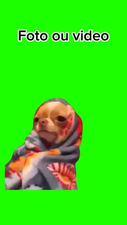 meme muito frio