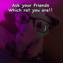Which rat are you? 🤨