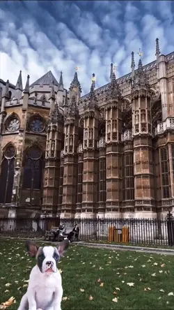 Westminster Abbey