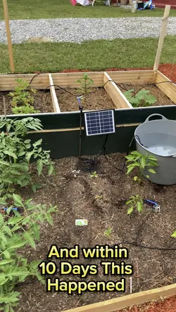 Gardening 