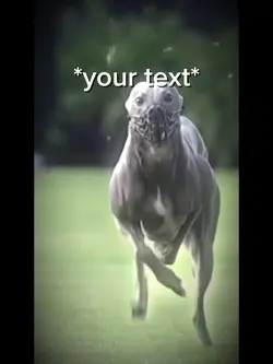 Dog running templat