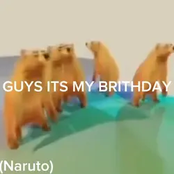 Meh birthday