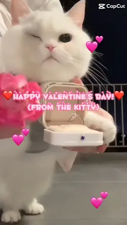 Happy Valentine’s! ❤️