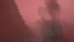 Bad TV hard shake