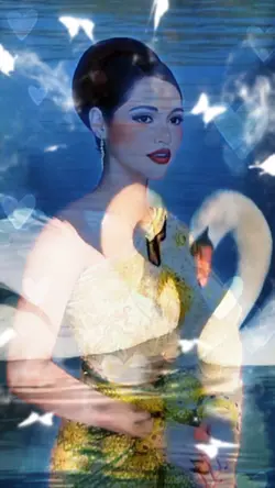Swans&effects