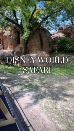Safari Vlog