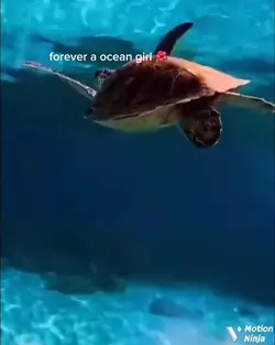 forever a ocean gir