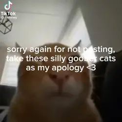 sorry guys 