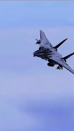 F-14 tomcat