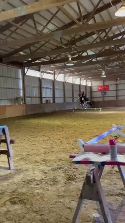 Horse slo mo 