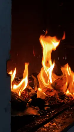 churrasco em família
