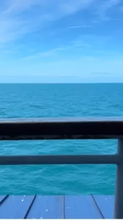 whale watching