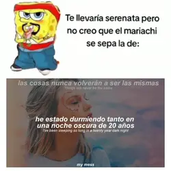 Te llevaría serenata