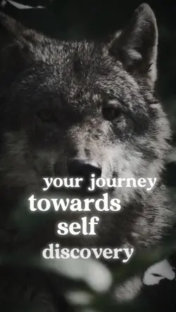 Self discovery 