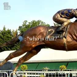 Secretariat 👑