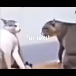 Your text