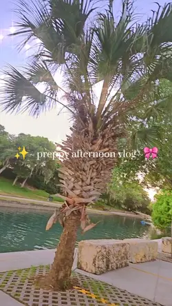afternoon mini vlog!