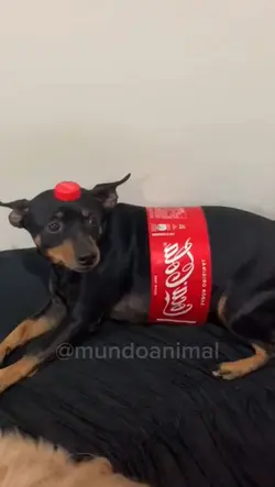 coca kkk