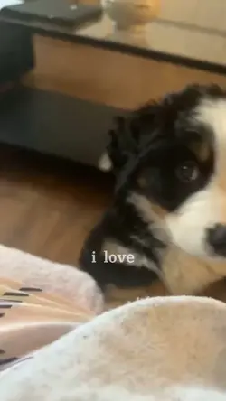 i love. 