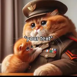 Cat story meme
