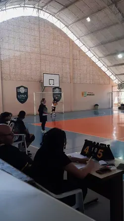 Voleibol 