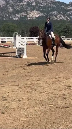 Love this mare!!