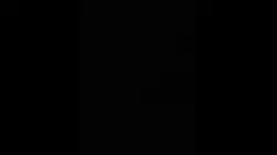 Stick fight