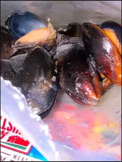 Dinner