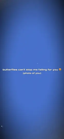 butterflies 